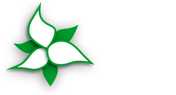 Trillium Miata Club
