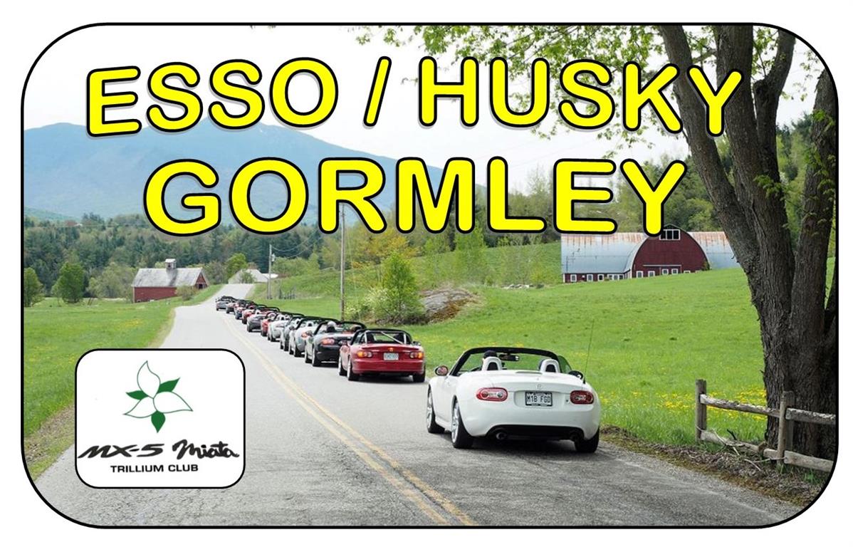Esso / Husky Station Stouffville